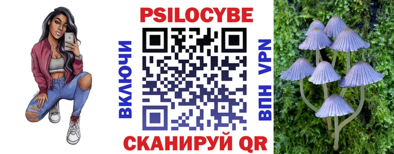 Купить  Духовщина  Псилоцибиновые грибы Cubensis 